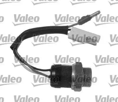 Valeo 819828 Fan Müşiri Citroen Fiat 5 Adet