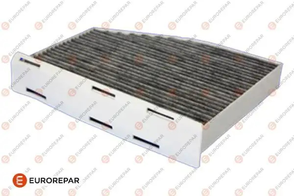 EUROREPAR 1686254580 | Polen Filtresi E998lc / Lak 181 (Karbonlu)
