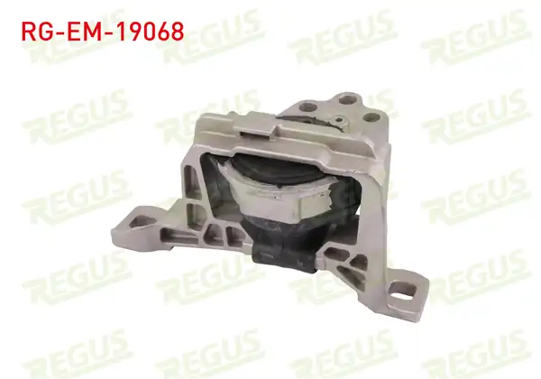 REGUS Rg Em 19068 Motor Takozu Focus 1 0 Ecoboost 2012