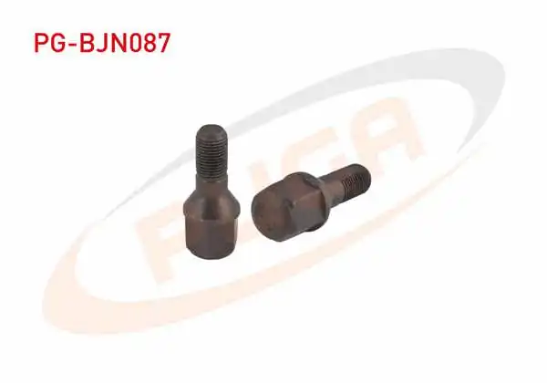 PUGA PG-BJN087 | Bijon Cıvatası Peugeot 206 / 207 / 307 (E.M) Aa.19 | 10 Adet