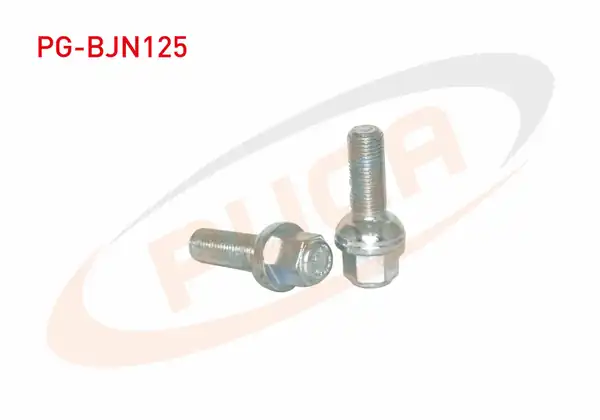 PUGA Pg Bjn125 Bijon Civatası Mercedes Sprinter Y M Aa 19 10 Adet