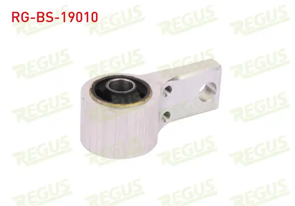 REGUS RG-BS-19010 | Salıncak Burcu Ön Sol-Sağ Alt Ford Fiesta V 1.25İ 2001-2008