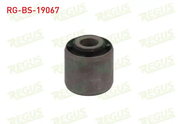 REGUS RG-BS-19067 | Denge Kol Burcu Arka Sol-Sağ Ford Focus I (Daw,Dbw) 1.4İ 16V 1998-2004