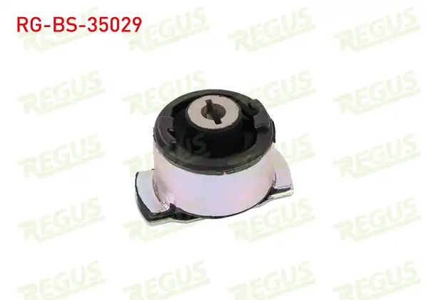 REGUS Rg Bs 35029 Travers Burcu Arka Sağ Renault Laguna II Bg0 1 1 6i 16v 2001 2007
