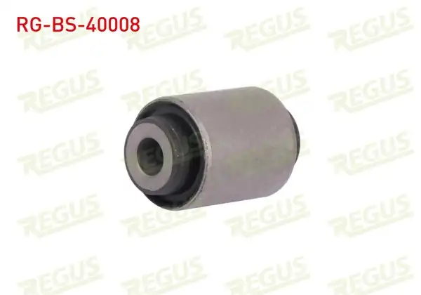 REGUS RG-BS-40008 | Salıncak Burcu On Subaru