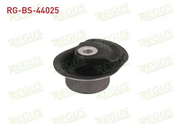 REGUS Rg Bs 44025 Travers Burcu Arka Sol Sağ Volkswagen Passat 3b2 1 6 1996 2000