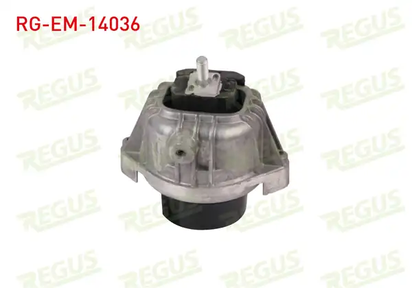 REGUS Rg Em 14036 Motor Takozu Ön Sağ Bmw 3 Serisi E90 316 İ 2005 2011