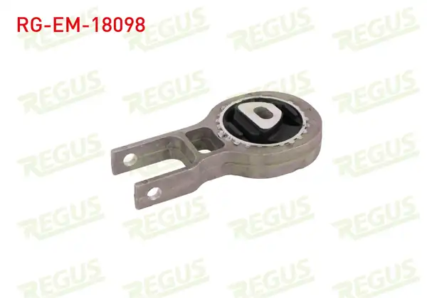REGUS Rg Em 18098 Motor Takozu Fiat Doblo 152 263 1 4 2010