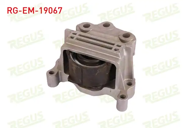 REGUS Rg Em 19067 Motor Takozu Transit V347 2006