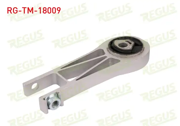 REGUS Rg Tm 18009 Şanzıman Takozu Ducato 3 0 JTD Jumper Boxer 3 0 Hdi 2006