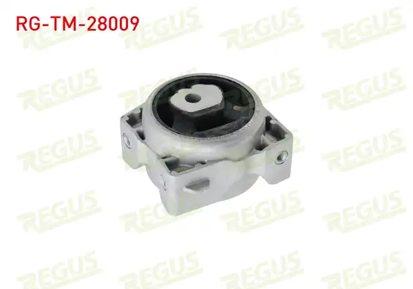 REGUS Rg Tm 28009 Şanzıman Takozu Arka Sol Mercedes A Class W169 A 150 2004 2012