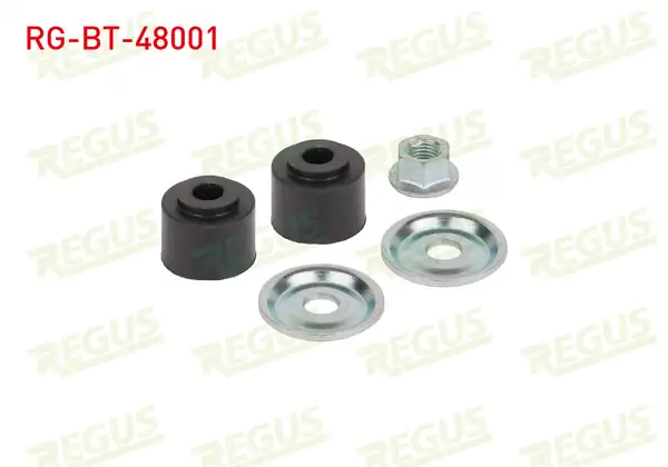 REGUS Rg Bt 48001 Viraj Demir Lastiği Set Ön Ssangyong Actyon İ 2005 2012 Rexton Gab_ 2002