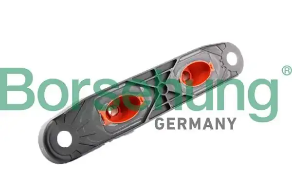 BORSEHUNG B10996 | Eksoz Braketi Tutucu Komple Rapro R55571