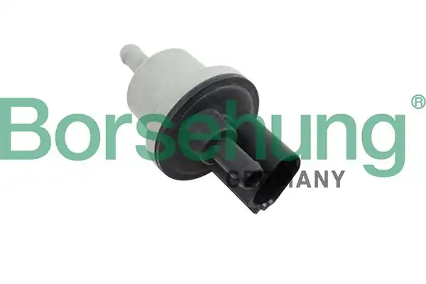 BORSEHUNG B12188 | Selenoid Valfi Golf5 Jetta Passat 2 0 FSI BLR Blx BLR