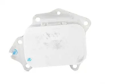 BSG 70-506-004 | Yağ Soğutucu Radyatörü 206 / 307 / 407 / Mini / Focus / Mondeo / Courıer 1.5 / 1.6 HDI / TDCI 03 -