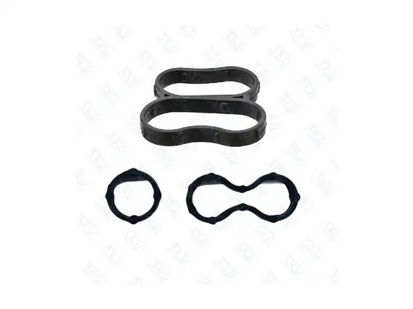 AKD 650162TK | Karter Zincir Kapak Conta Seti B1 6dth Astra J K Insignia A