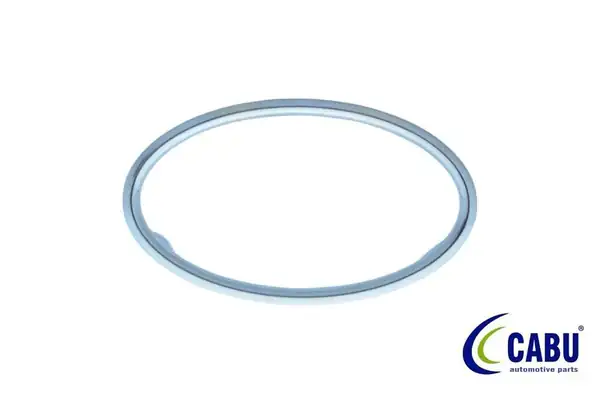 CABU 330812 | Kalorifer Üfleyici Çerçevesi Krom Focus II 05 2271772