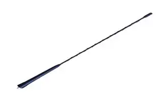 WPI AN003 | Kısa Siyah Anten 5 mm P 107 207 307 C1 C2 C3 C4 R Clio