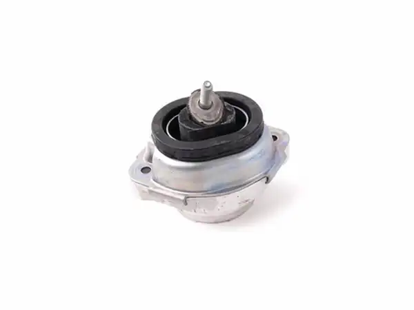 KAUTEK Bm Em031 Kau Bm Em031 Bmw X5 E53 M54 Motor Takozu 22116770794