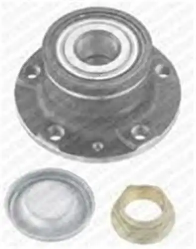 Snr Xtgb41525 Arka Porya Rulmanlı Peugeot 407 Coupe Rcz 32x130x57
