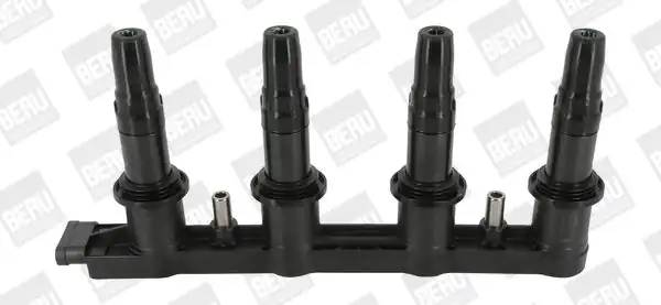 BORGWARNER ZSE198 | Ateşleme Bobini (Chevrolet: Aveo \ Cruze 1.6 09-/ Opel: Astra J \ Mokka 1.6 09 -)