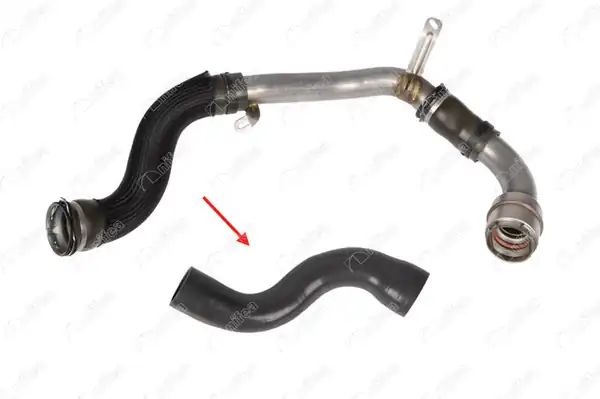 NIFEA 11460 | Turbo Hortumu Megane III Fluence 1 5 dCi 110 Hp