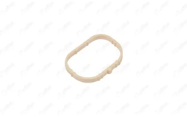 NIFEA 11631 | Emme Manifold Contası Megane Laguna Clio 1 6 16v K4m 5 Adet