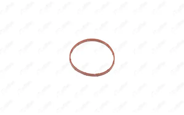 NIFEA 17074 | Gaz Kelebeği Contası Bmw 114 116 316 320 C4 C5 Mini Cabrio R57 Astra L 308 Grandland X 1 6 06 21