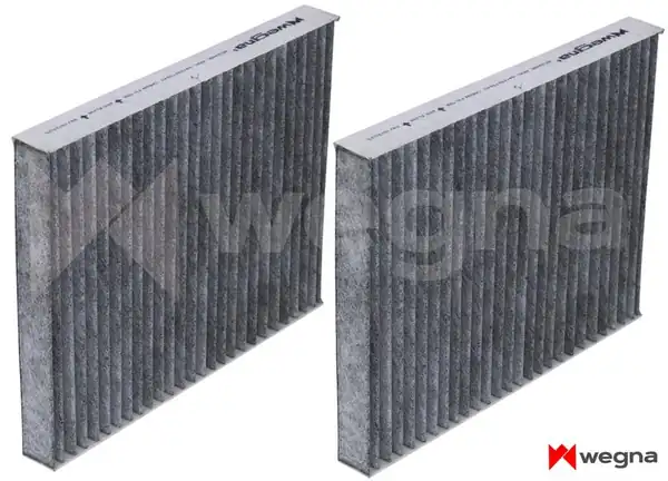 WEGNA WC3348C | Polen Filtresi Takımı Bmw F07 F10 F11 F18 F06 F12 F13 F01 F02 F04 Karbonlu
