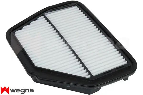 WEGNA WA2054 | Hava Filtresi Captiva Antara 2 0 CDTI 2 4 06