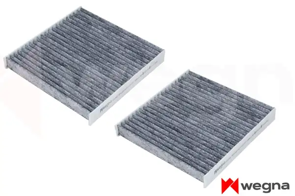 WEGNA WC3343C | Polen Filtresi Takımı Bmw F25 F26 Karbonlu