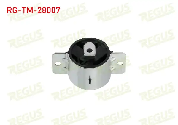REGUS Rg Tm 28007 Şanzıman Takozu Arka M T Mercedes Sprinter 3t 903 308 CDI 1995 2006