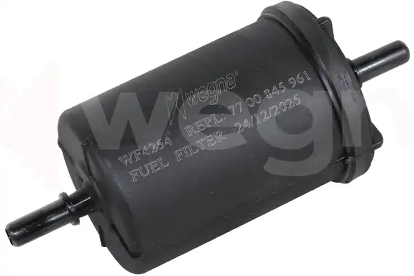 WEGNA WF4254 | Yakıt Benzin Filtresi