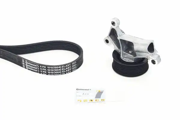 Continental Ctam 6pk1019 Elast K1 V Kayış Kanallı Ford Fiesta 1 4 Zetec 01 12