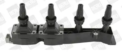 BORGWARNER ZSE045 | Ateşleme Bobini Peugeot 206 307 Citroen Xsara