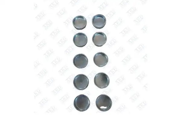 AKD OP200241 | Blok Su Tapası 21 mm