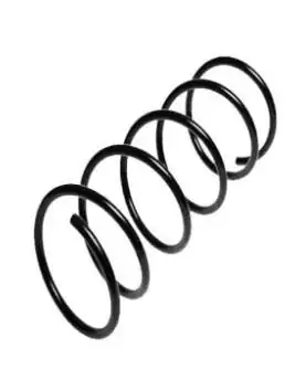 FROW HELEZON 2541233004 | Helezon Yayı Ön Peugeot 206 Hatchback 2a C 98 12 20 S16 2 Adet