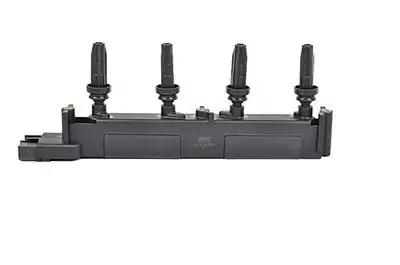 BSG 70-835-005 | Ateşleme Bobini 206 307 406 407 C4 C5 2 0 Bnz Ew10j4 00