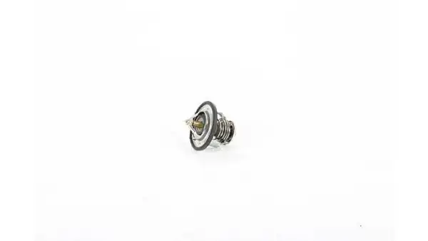 BSG 16-125-007 | Termostat Captiva A Antara Cruze Z20s 07 -