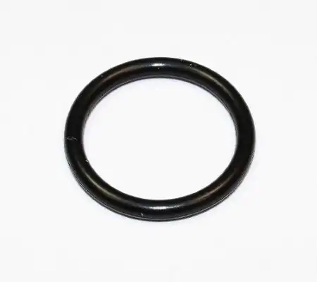 ELRING 174.080 | Oring Touareg Bar 4,2 FSI 04-10