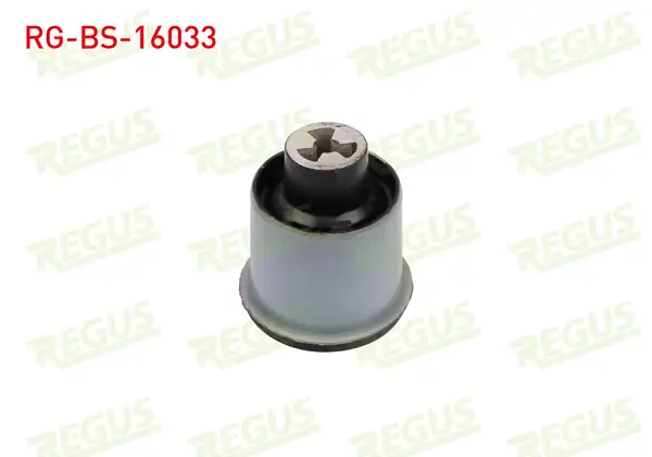 REGUS Rg Bs 16033 Travers Burcu Sol Sağ Arka Chevrolet Aveo Kalos T200 2003 2008