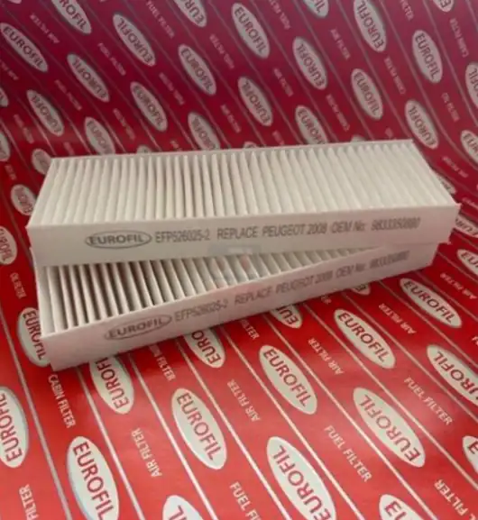 EUROFILTER EFP526025-2 | Polen Filtresi 20 Pt 208 2008 Ds3