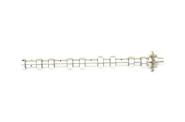 GEMSAFT PTPRT05 | Eksantrik Mili Egzoz Takım P1007 P206 P207 P307 P308 P3008 P5008 P407 Partner III Exper Ford Focus 1 6 TDCI