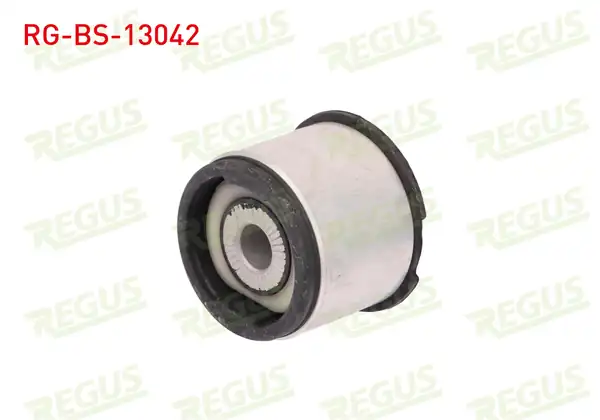 REGUS Rg Bs 13042 Torsiyon Burcu Arka Sol Sağ Audi A4 8e2 B6 1 6 2000 2004