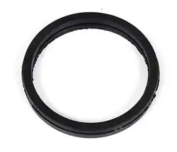BSG 30-116-079 | Termostat Çevre Lastiği Transit V-184 2.4 D 01 -