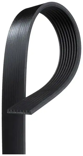 Gates 8pk1920hd V Kayışı Man Tga Tgs Tgx Neoplan Starliner D2066 D2676 Klimalı 856844