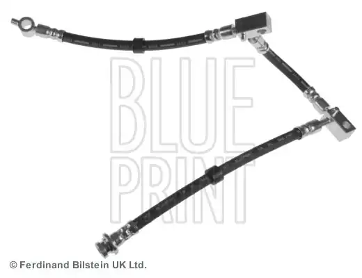 BLUEPRINT ADN153161 | Fren Hortumu Nissan Primera 02 P12 Sağ Ön