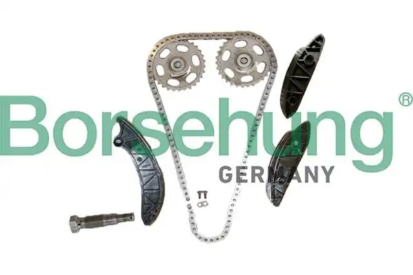BORSEHUNG B12725 | Eksantrik Zincir Seti Mercedes W246 W204 W212 GLK 639 Sprinter M651 09 16