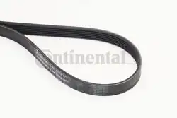 CONTINENTAL CTAM 6PK1173 | Kanallı V Kayışı BMW F40 F45 F46 F48 Mini F56 F60 B37 B38 (11289888807)