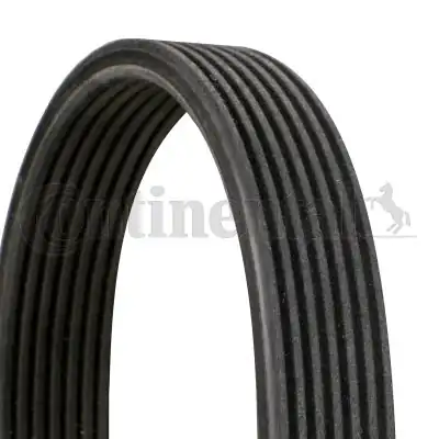 Continental Ctam 7dpk1360 Kanallı V Kayışı Mercedes V280 97 03